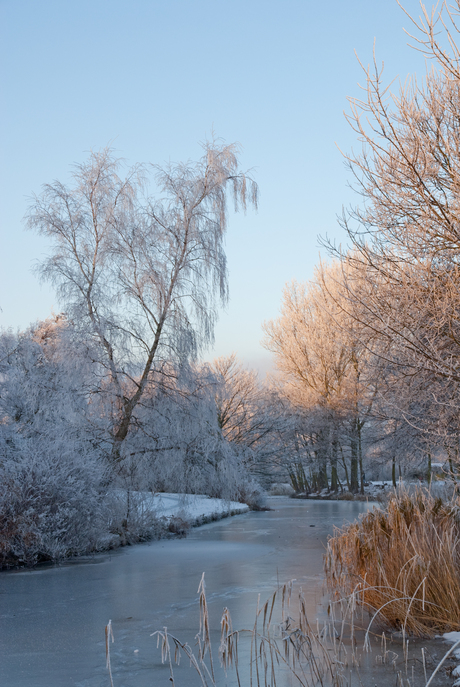 Winter wonderland