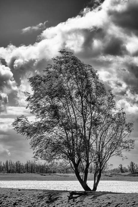 De natuur achromatisch gezien