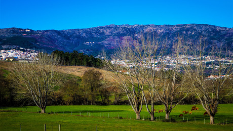 Serra de Estrela gebergte in Portugal