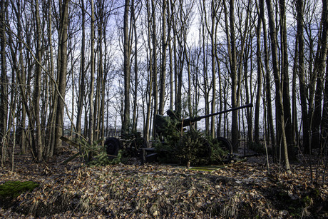 oorlogs voertuig tussen de bomen