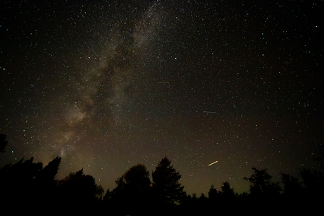 Canada sterrenpracht