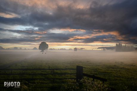 Morgenstond, heeft goud in de mond