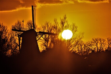 Nederland Molenland