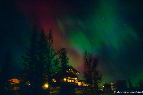 Noorderlicht