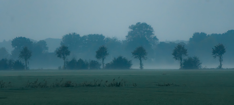 Mistige bomen in blauw en groen 