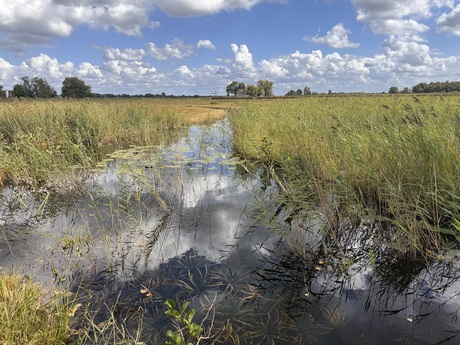 Weerribben 