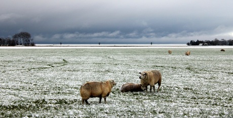 Landelijk.