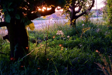 away with the fairies