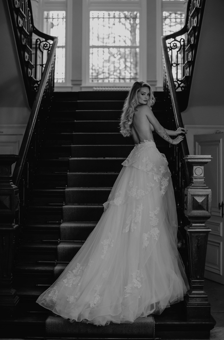 Beauty in the castle 