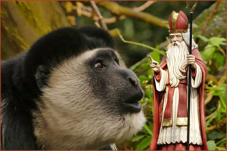 ook in de dierentuin.............................