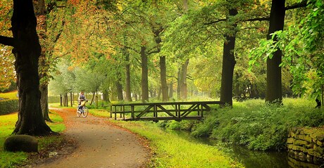 Herfst in het park