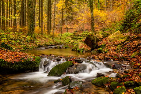 Autumn @ Halerbaach river