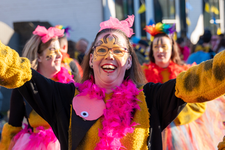 Carnaval in het Zuiden - 3
