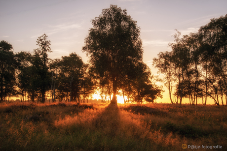 Zonsopkomst vroege zondagochtend