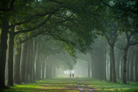 Ochtendwandeling in de Krochten