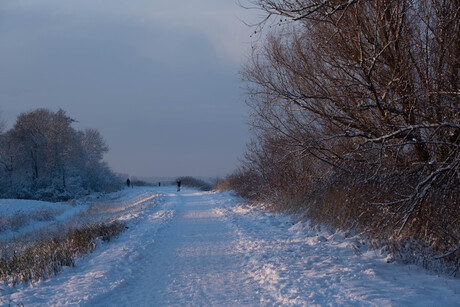 wandelpad in de sneeuw