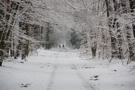 wandelen in de sneeuw