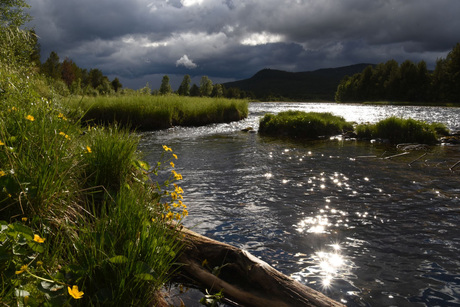 Hier en daar wat zon