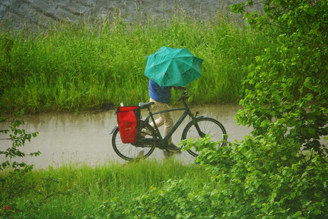 mijn weerbericht voor de komende dagen..............................