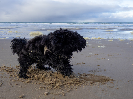 Beach life