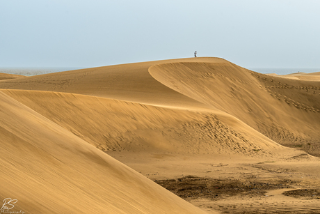 Dunas de Maspalomas 