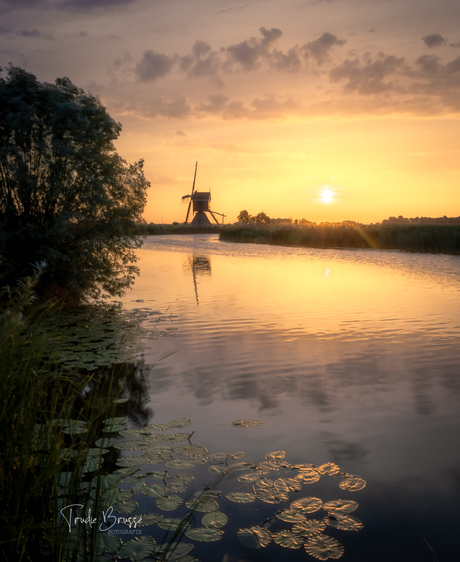 Broekmolen 