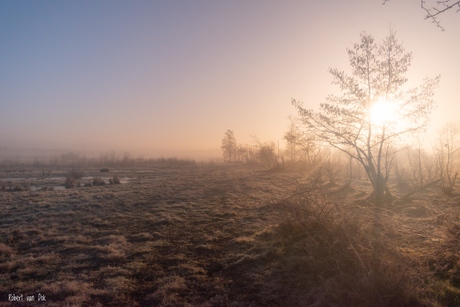 Mistige zonsopkomst 