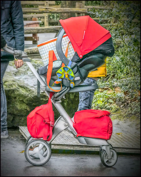 ik ga naar de dierentuin................................