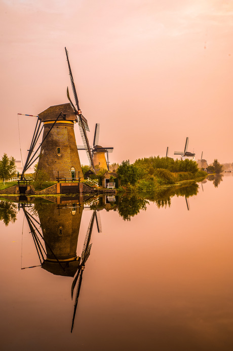 Goedemorgen Kinderdijk 