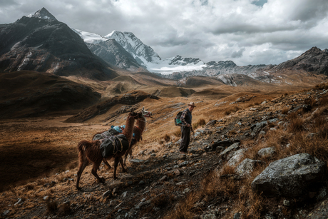 Trekking met lama's in de Cordillera Blanca, Peru