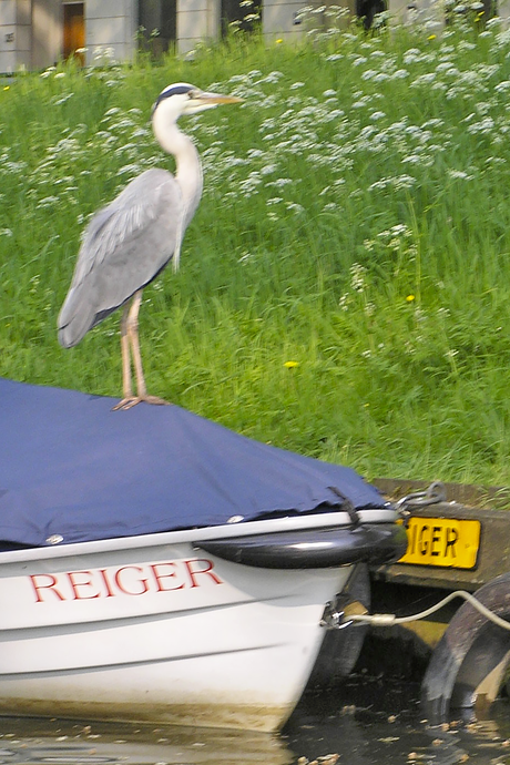 Mijn boot