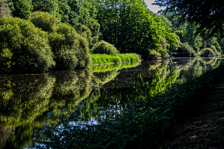 spiegeling
