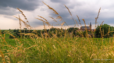 Grassprieten