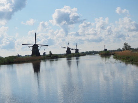 Dutch mills