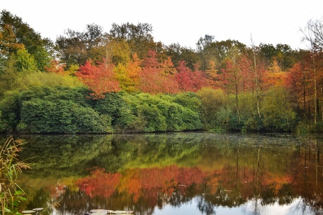 Herfstkleuren