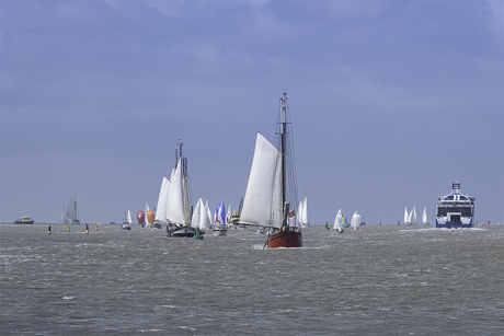 Harllngen-Terschelling zeilrace
