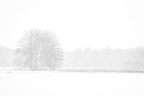 Waar je de stilte ontmoet