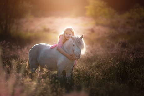 Heart Horse 💖