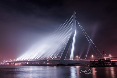 Erasmusbrug 