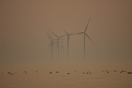 Windmolens in de avondzon.