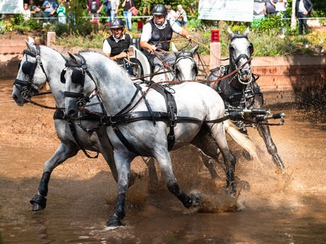 EK VIERSPANNEN EN WK PARAMENNEN 2023 IN EXLOO