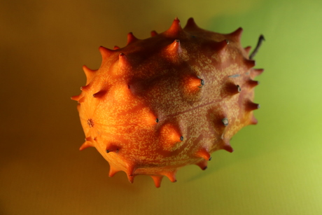 Kiwano