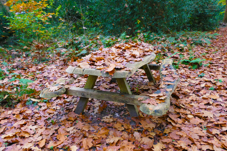 Herfst apeldoorn