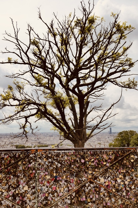 Locks around the world 