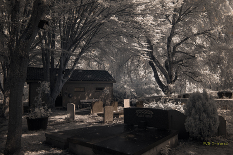 MJf_cemetaryfiles