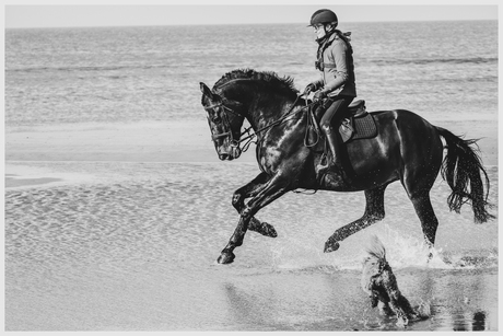 Dagje strand