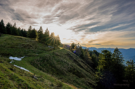 panorama strasse