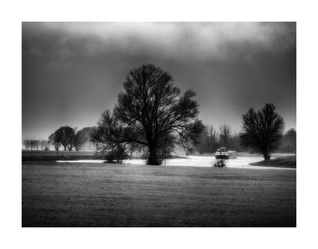 - Nederland | Gelderland | De rivier en de boot -