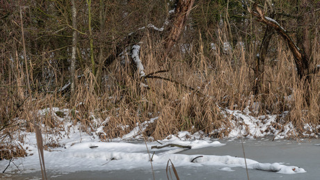 De laatste restjes  (8-01-2026)