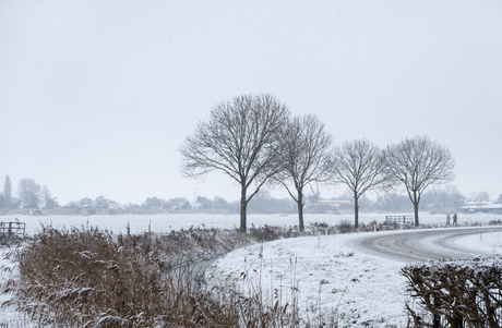 Sneeuw landschap